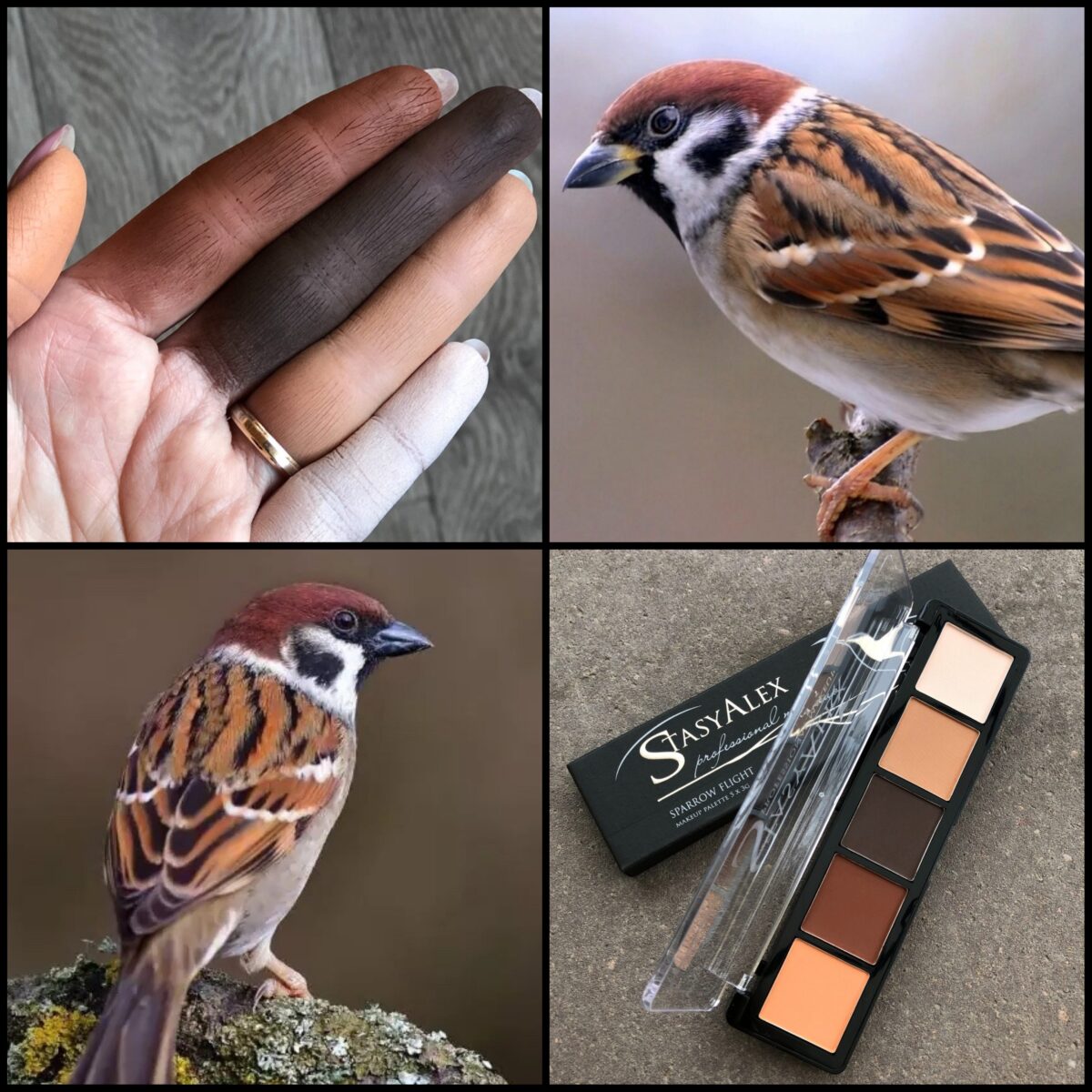 Тени StasyAlex Eyeshadows Palette E02 Sparrow flight kosmetos