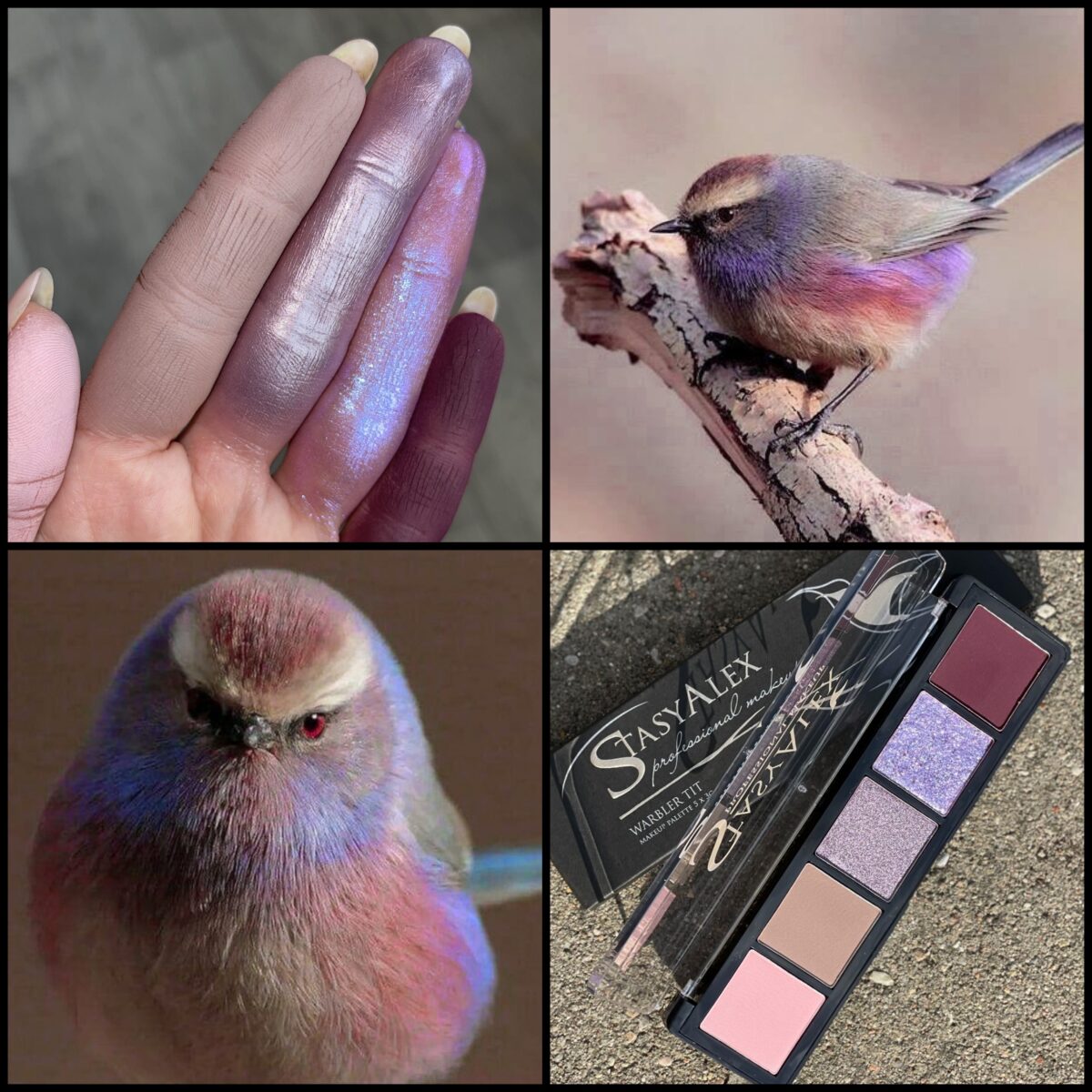 Тени StasyAlex Eyeshadows Palette E33 WARBLER TIT kosmetos